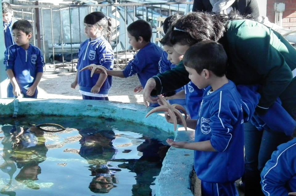 Continúan las visitas al Acuario de la UCN