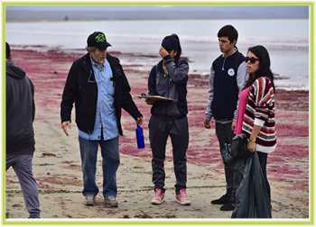 Estudiantes de Tongoy realizan muestreo para conocer qué tipo de basura hay en las playas de la zona