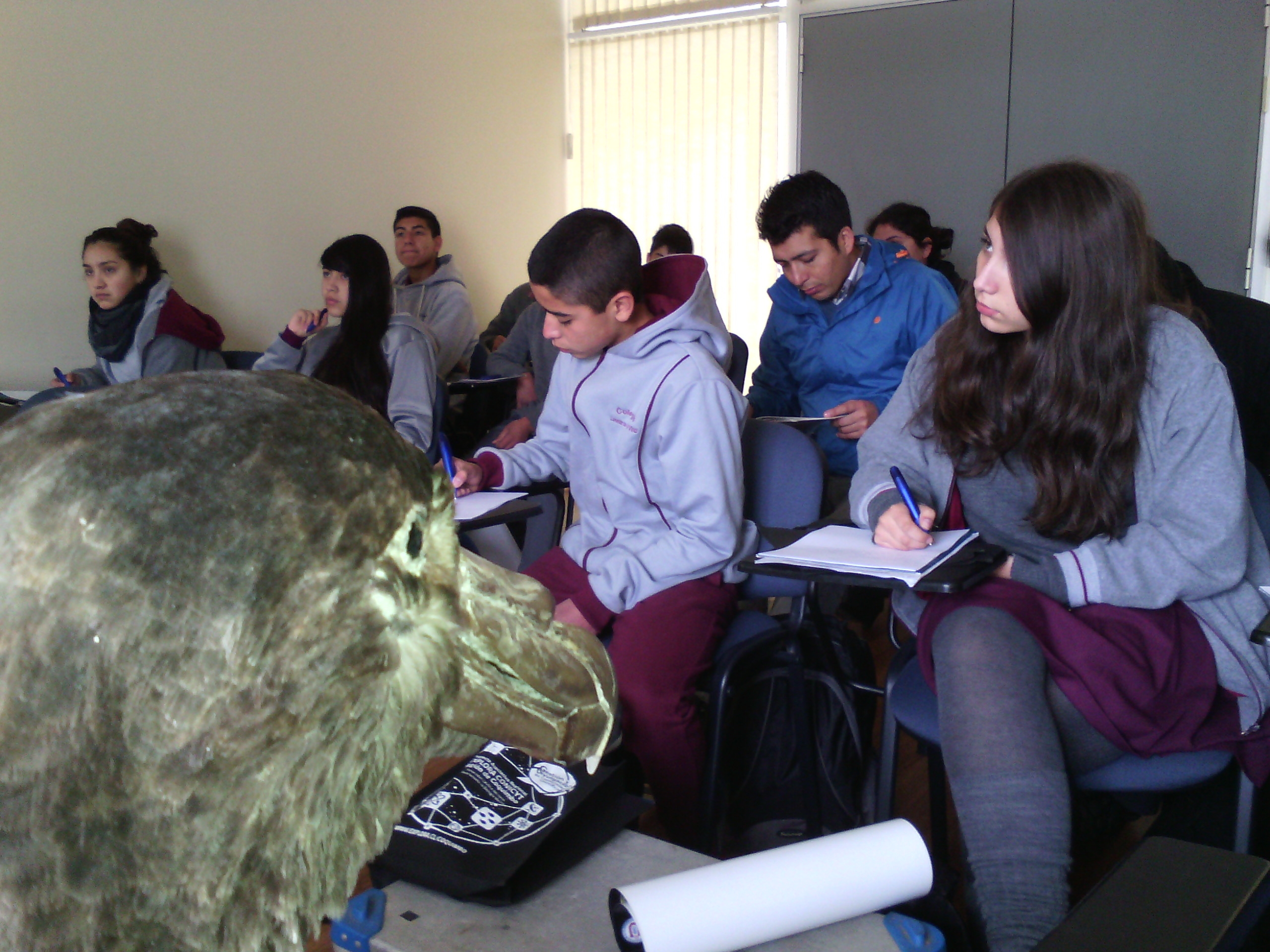 Alumnos de Vicuña conocieron más sobre las Aves Marinas