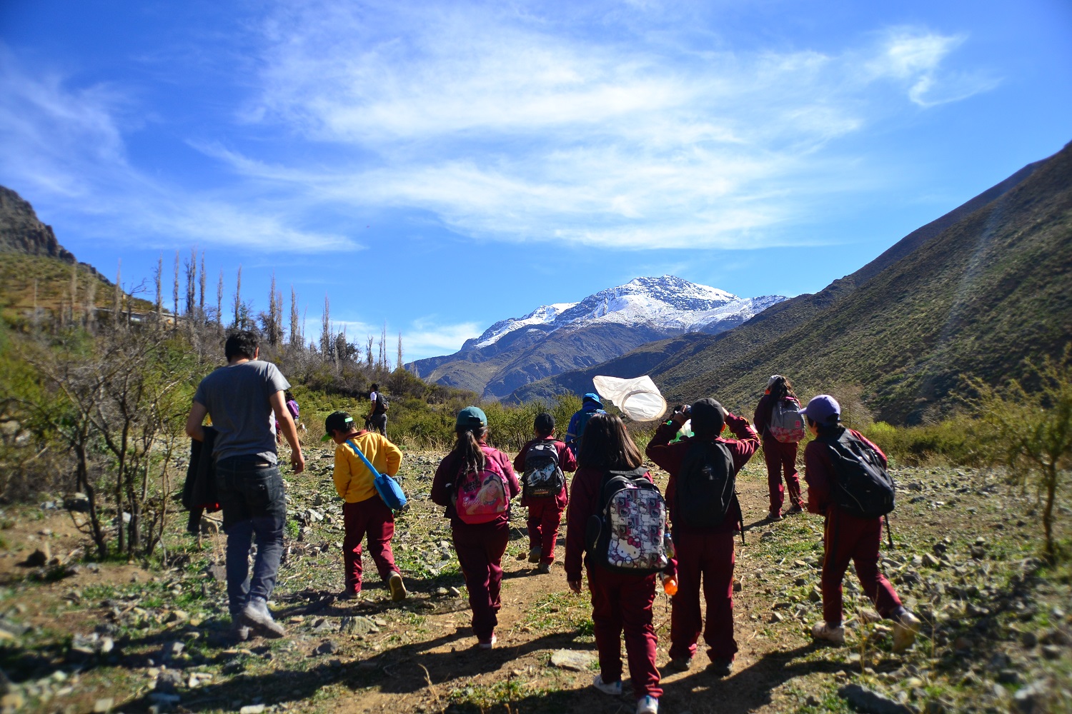 Opinión: La investigación científica escolar como valor agregado para los recursos naturales de Chile