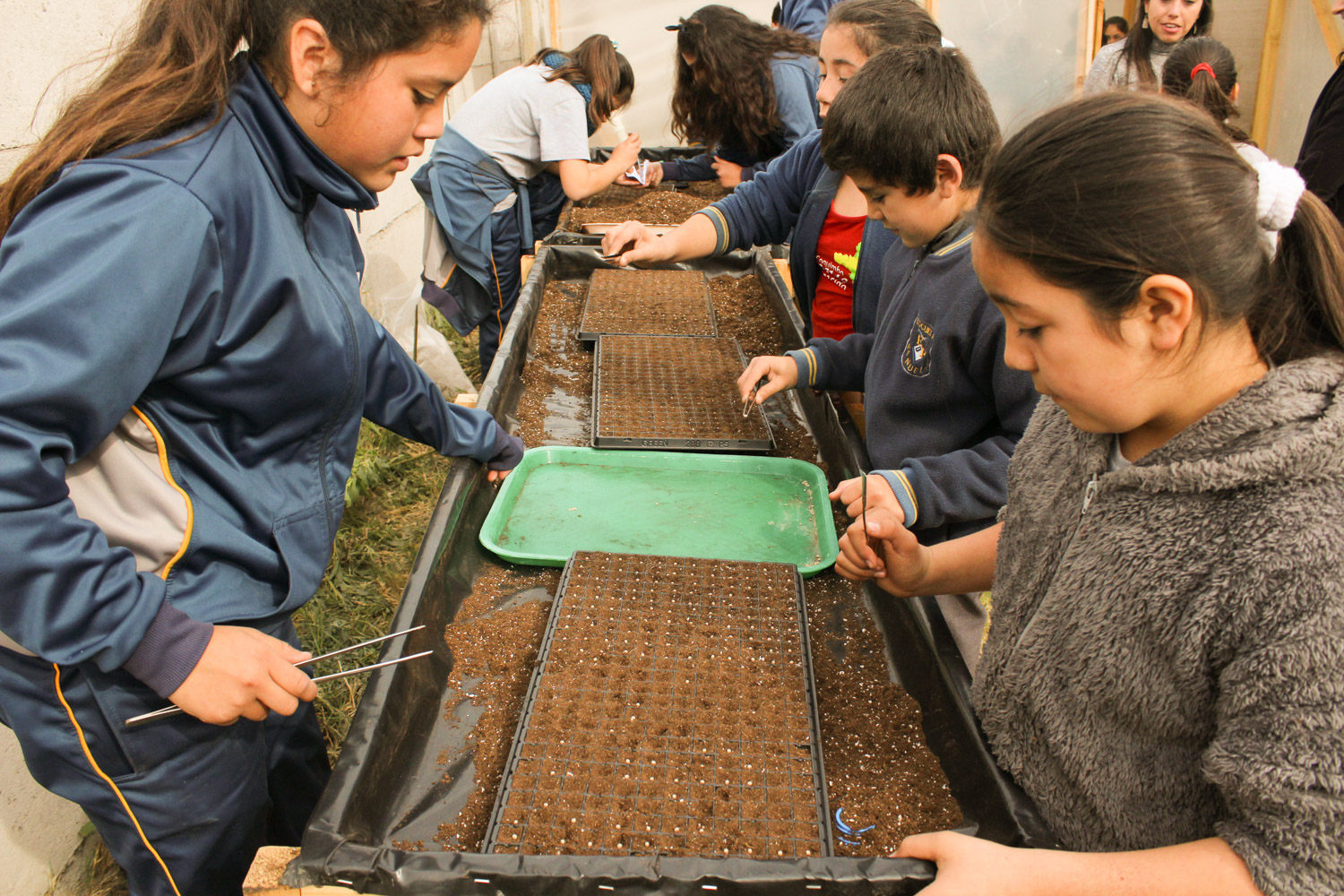 Atención docentes: Conozca acá los establecimientos que se adjudicaron los Clubes ICE