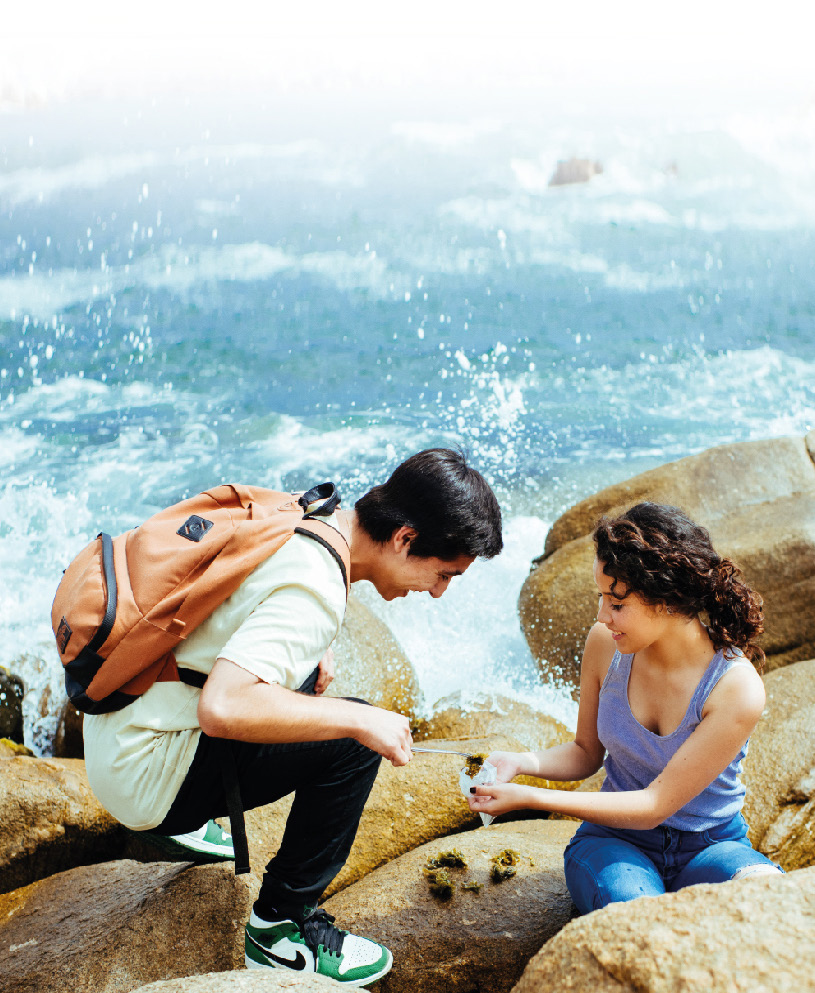 La ruta de la investigación científica escolar  como una herramienta pedagógica