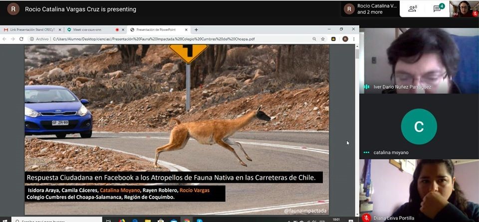 Estudiantes de la Región de Coquimbo participan de inédita presentación online de sus proyectos científicos
