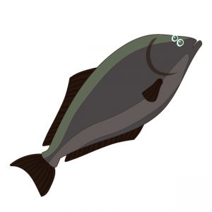 Lenguado