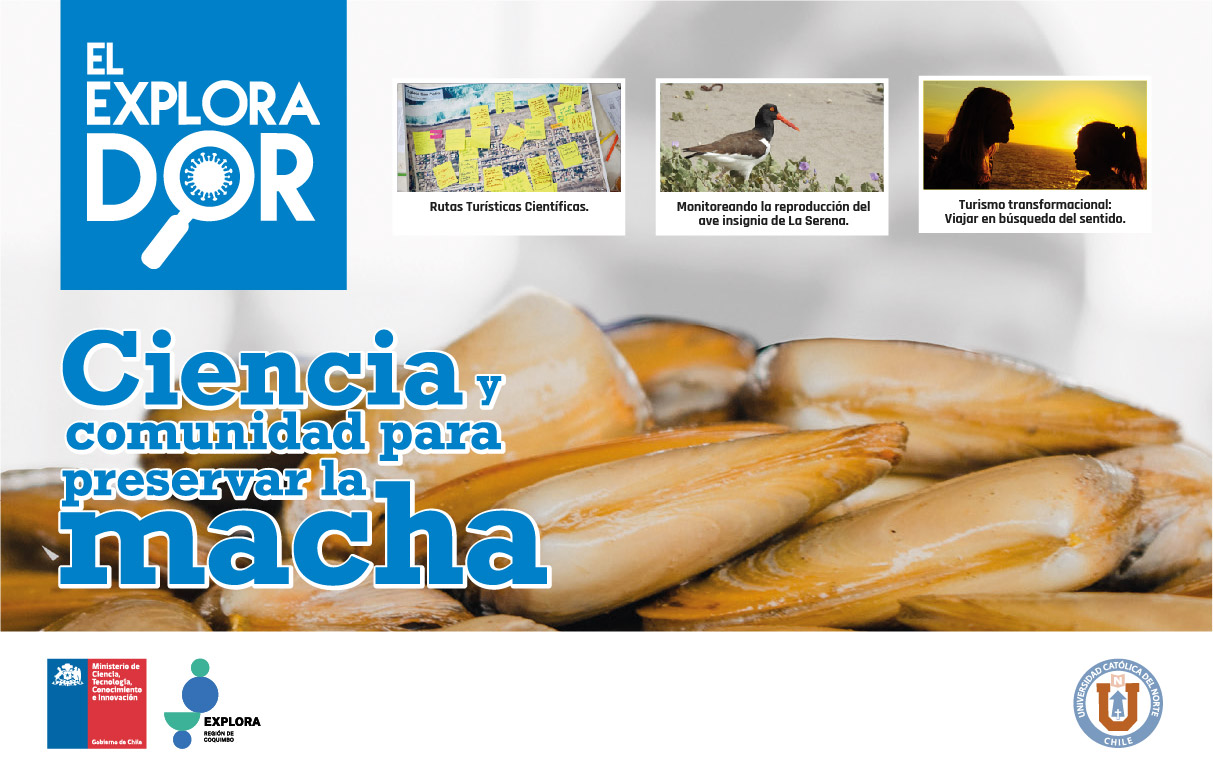 El Explorador muestra el trabajo conjunto entre ciencia  y comunidad para preservar la macha en Caleta San Pedro