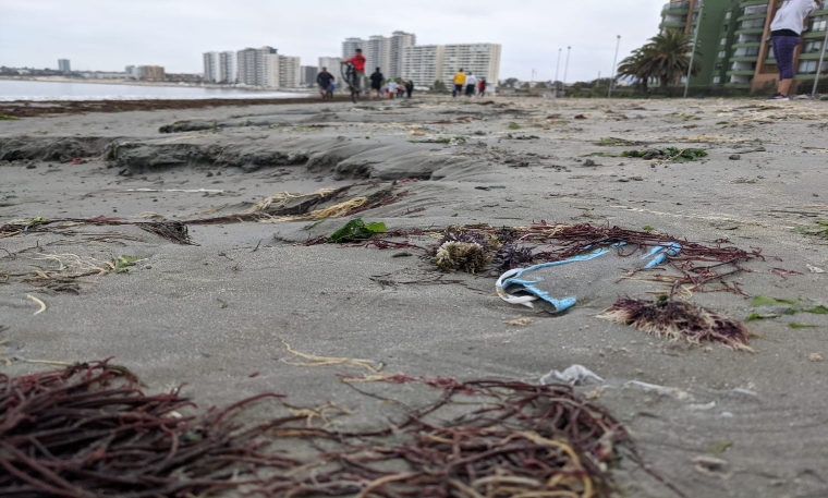 Columna: Tenencia responsable de mascarillas