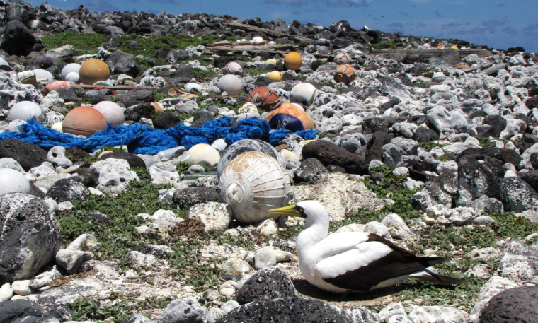 Columna de opinión: El problema de la contaminación por plásticos en una isla remota
