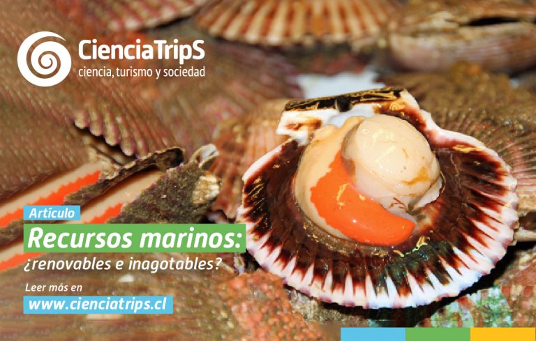 Columna de opinión: Recursos Marinos: ¿Renovables e Inagotables?