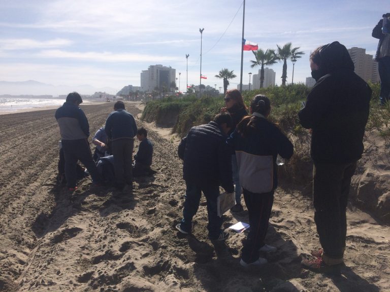 Todavía pueden postular a los programas IIE y PIPE 2023