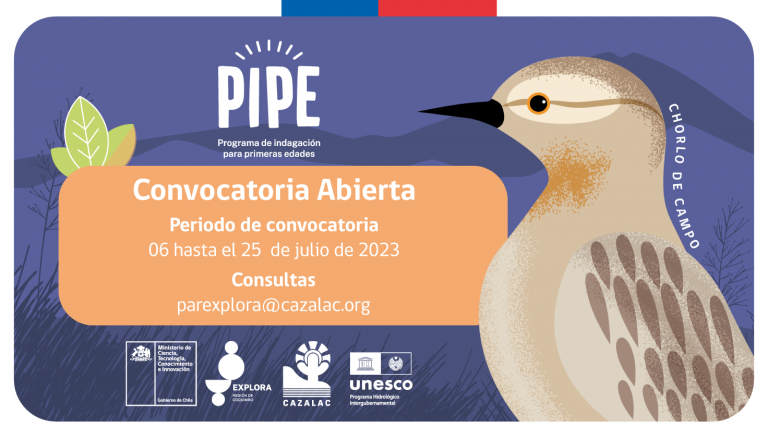¡Se encuentra abierta la convocatoria para PIPE! 