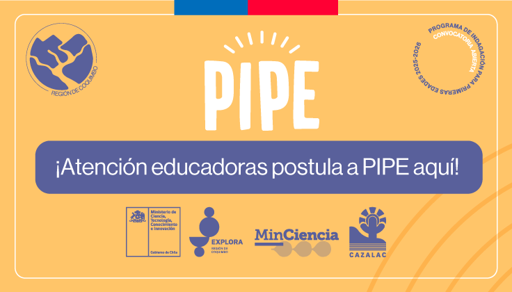 Conoce las bases y postula al programa PIPE aquí