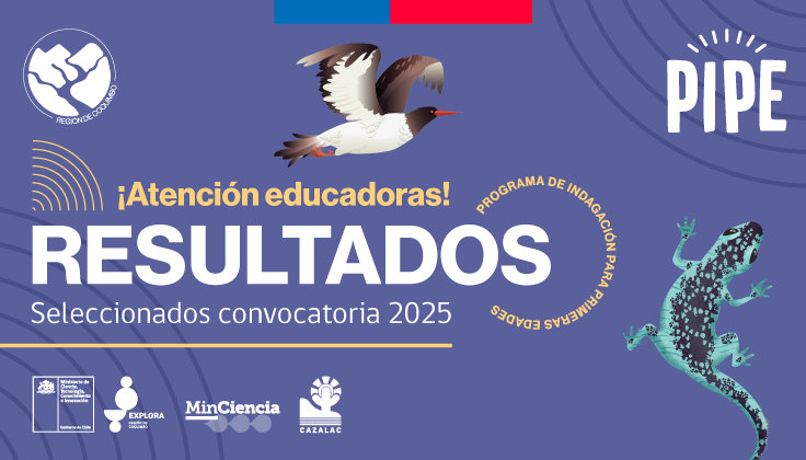 Que no te lo cuenten: Conoce aquí a los seleccionados para PIPE