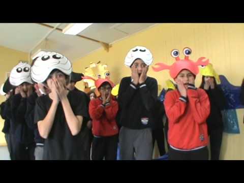 Liceo Bicentenario de Ancud gana concurso regional de video de EXPLORA CONICYT