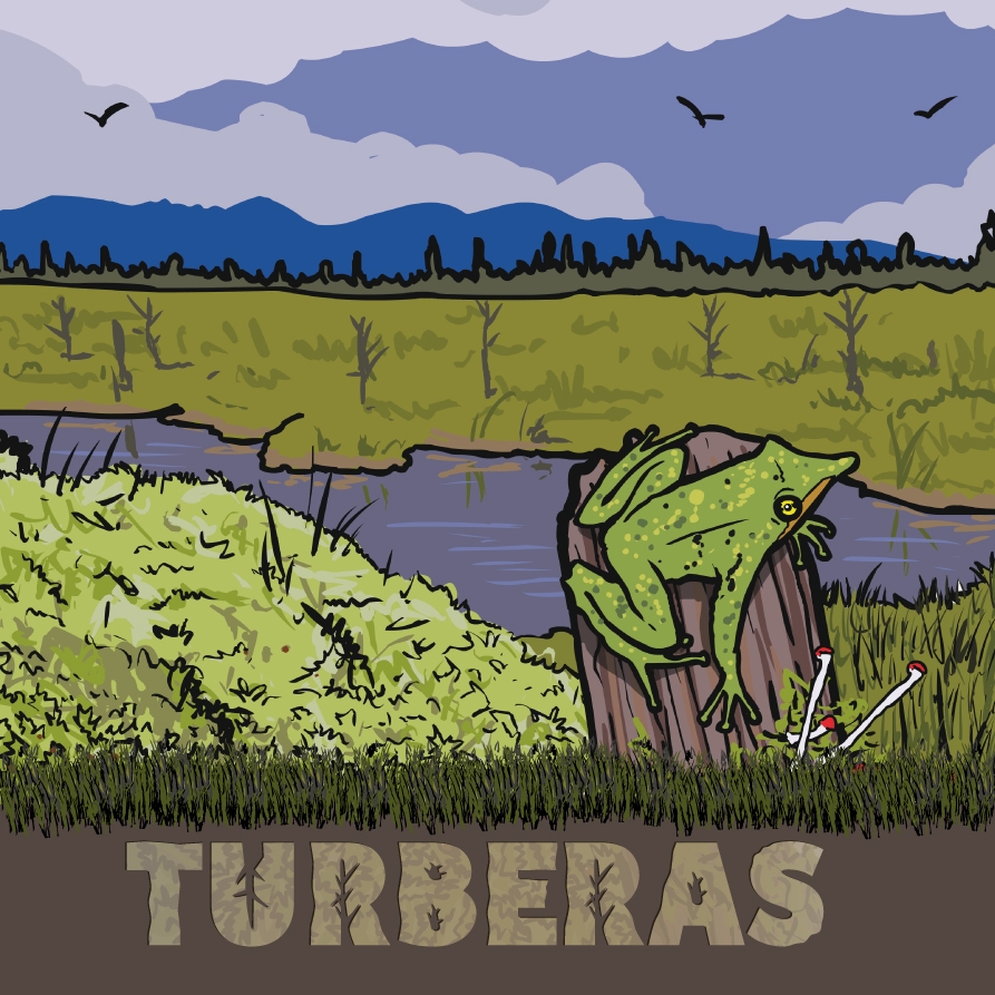 “Turberas” es el nuevo Cómic Científico de EXPLORA Los Lagos