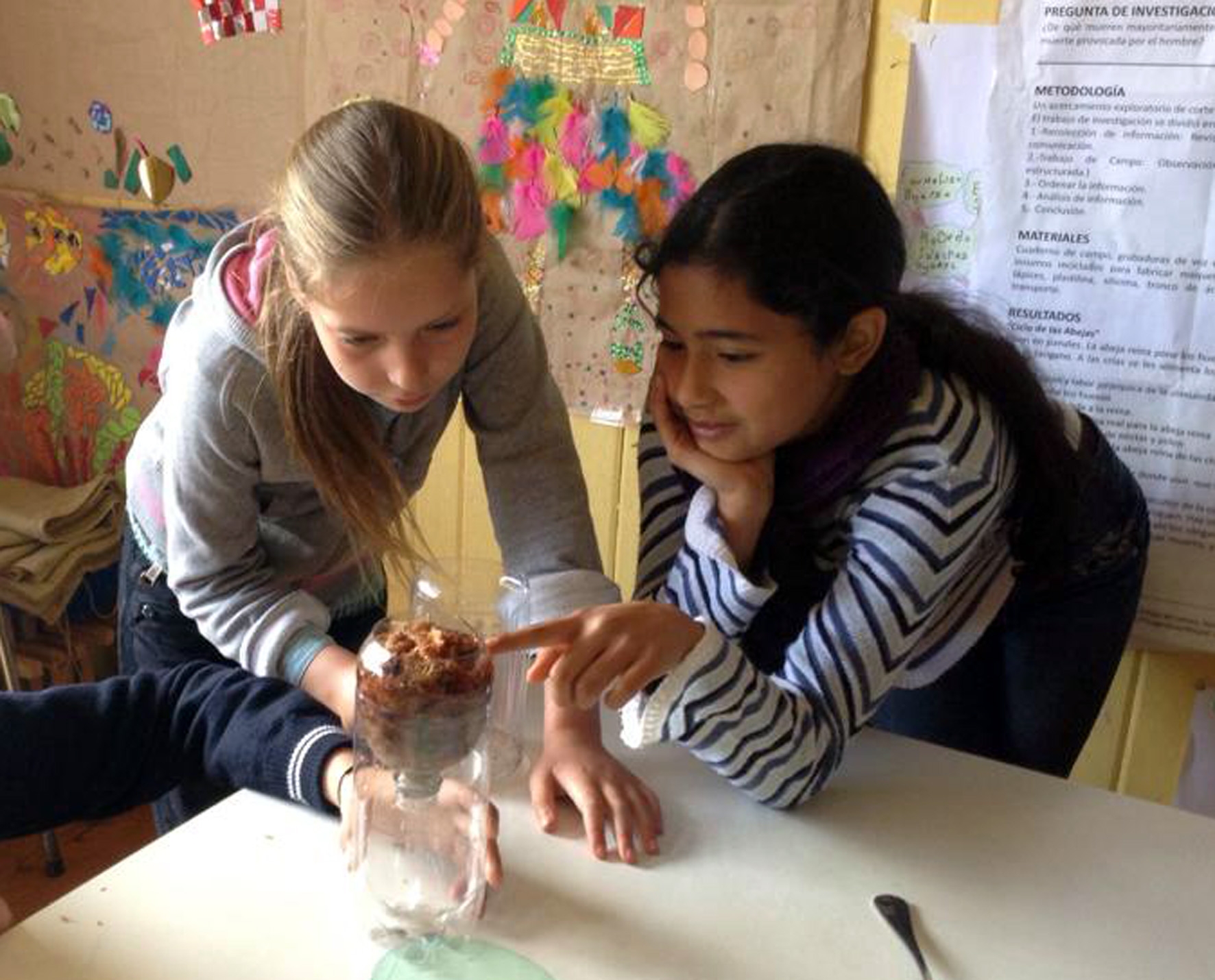 Charlas y talleres acerca de turberas y pompón se realizarán en Chiloé