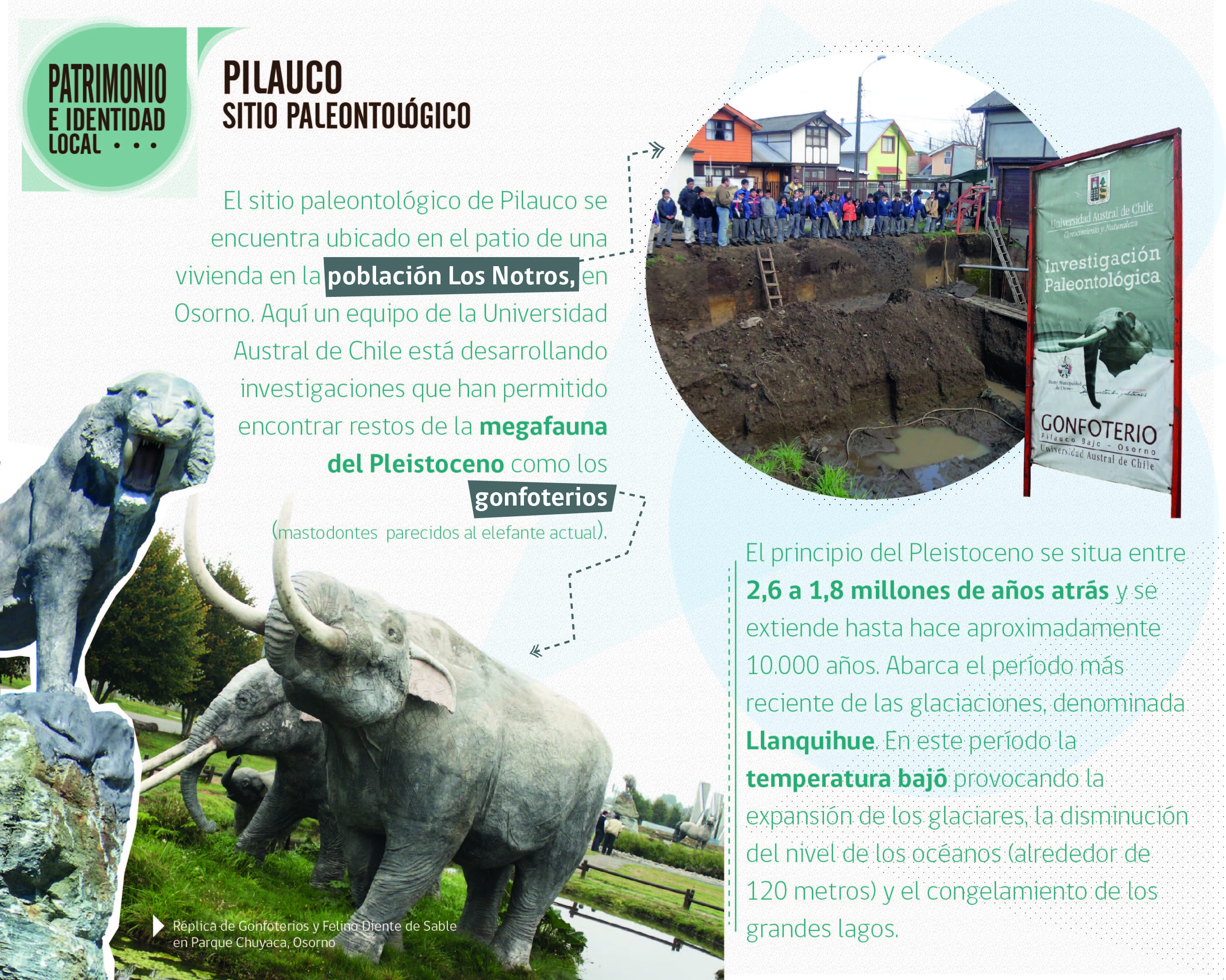 Muestra “Patrimonio e Identidad Local” se presenta en Purranque