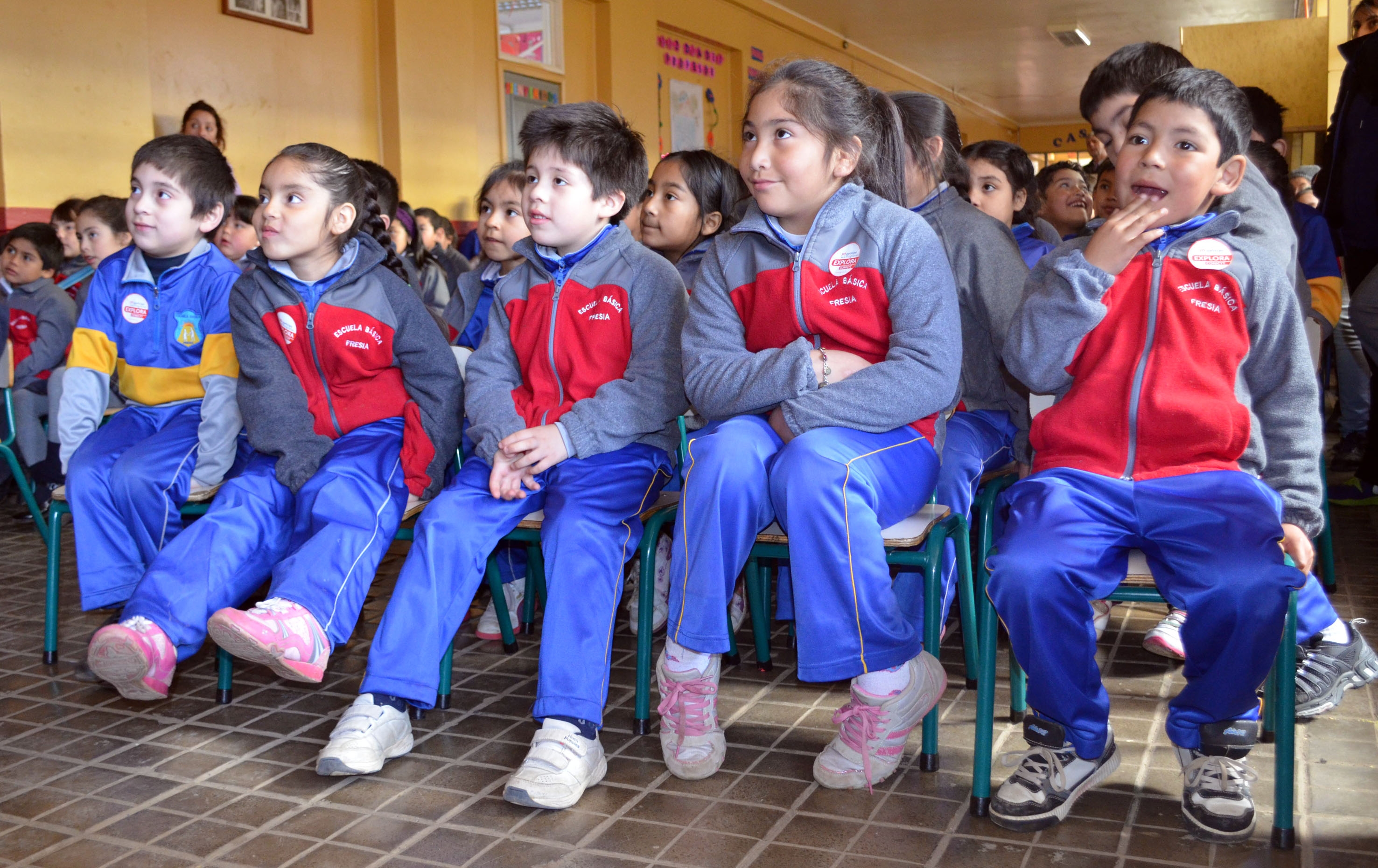 Obra de teatro “Citrola y las Súper Bacterias” visitará establecimientos de Chiloé