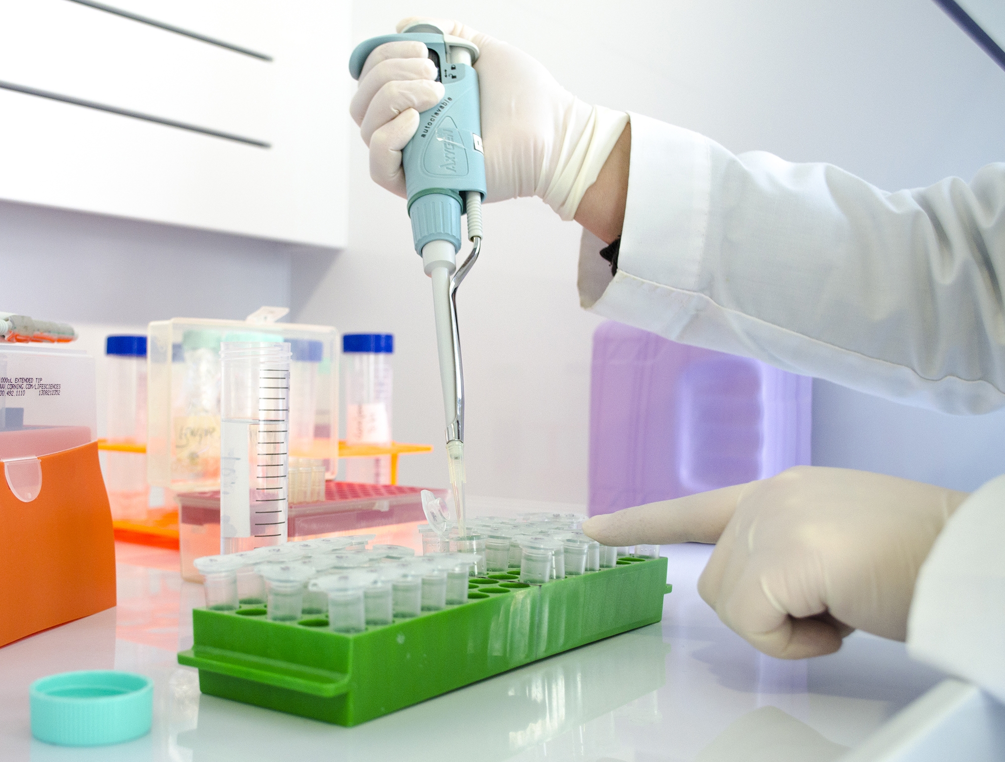 Diversificación Acuícola al servicio de la Industria