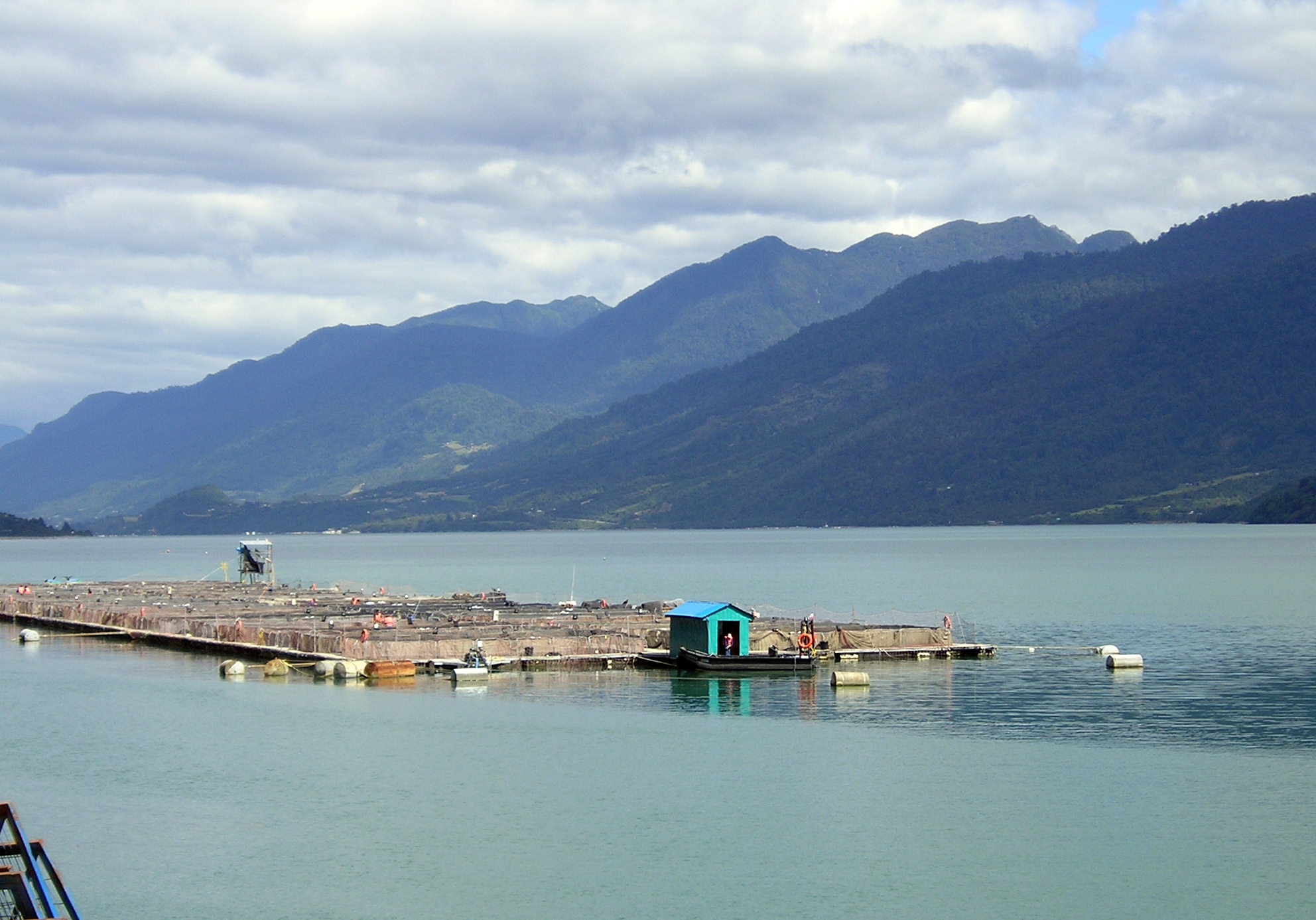 La industria salmonera bajo la visión de un experto logístico