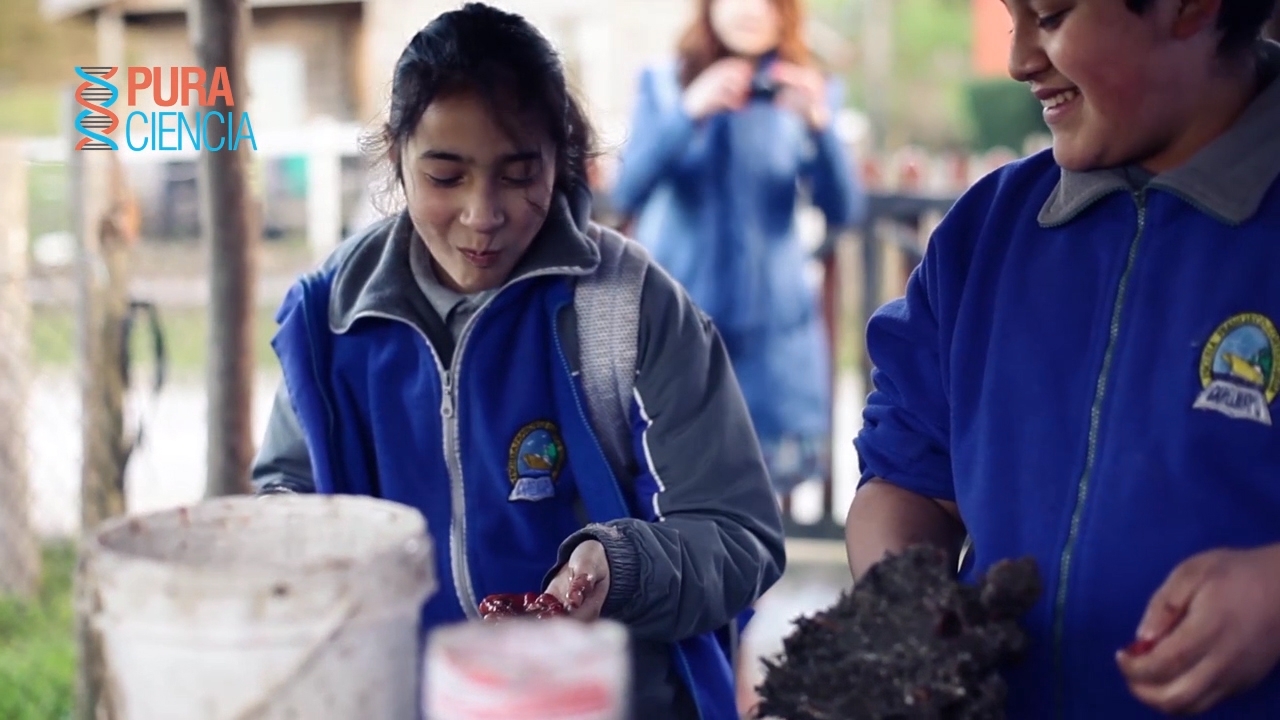 PAR EXPLORA Los Lagos presenta segundo capítulo de la nueva temporada de PURA CIENCIA