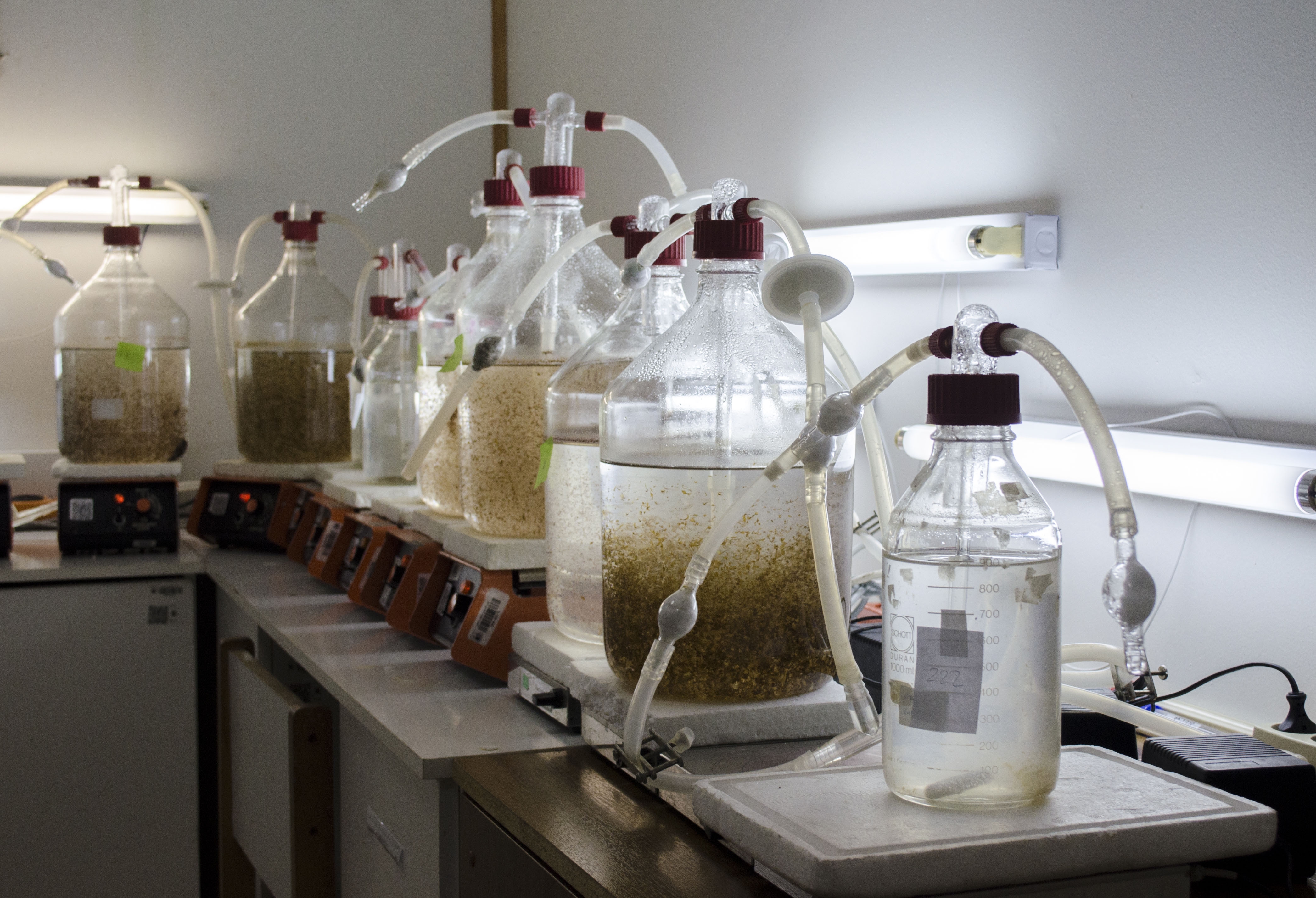 Desarrollo e Investigación Acuícola en la zona Sur Austral de Chile