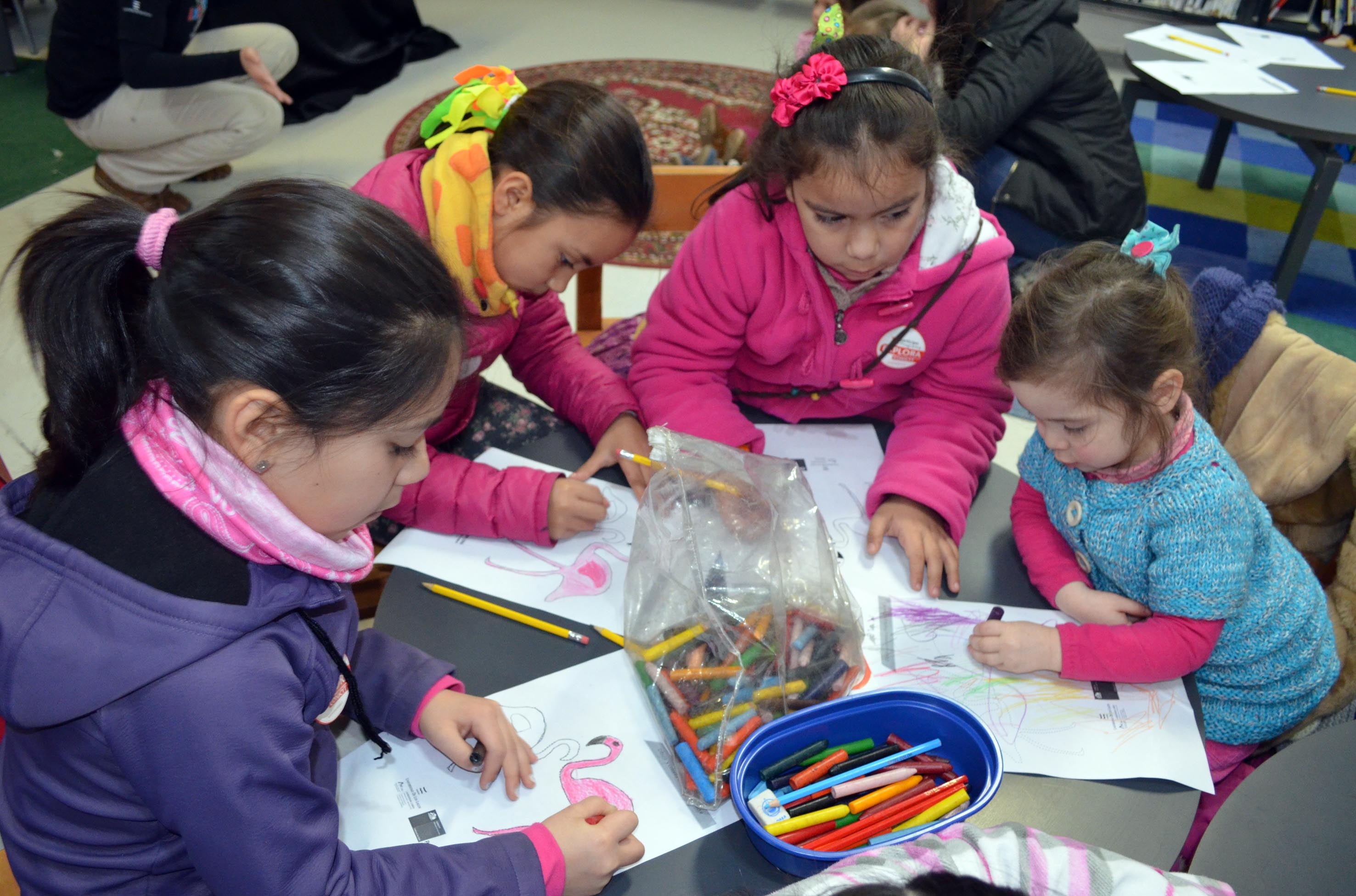 Durante las vacaciones Osorninos podrán disfrutar de diversas actividades del PAR EXPLORA Los Lagos