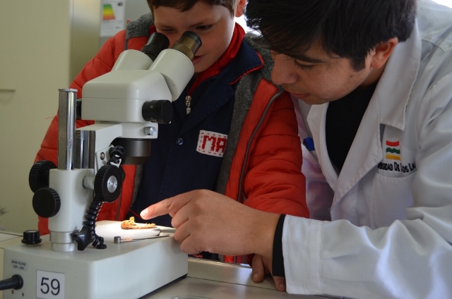 Unidos por la ciencia Laboratorios, Museos y Observatorios desde Osorno a Ancud abrirán sus puertas a la comunidad