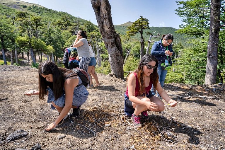 Campamento Explora VA! para docentes cierra con exitosa evaluación