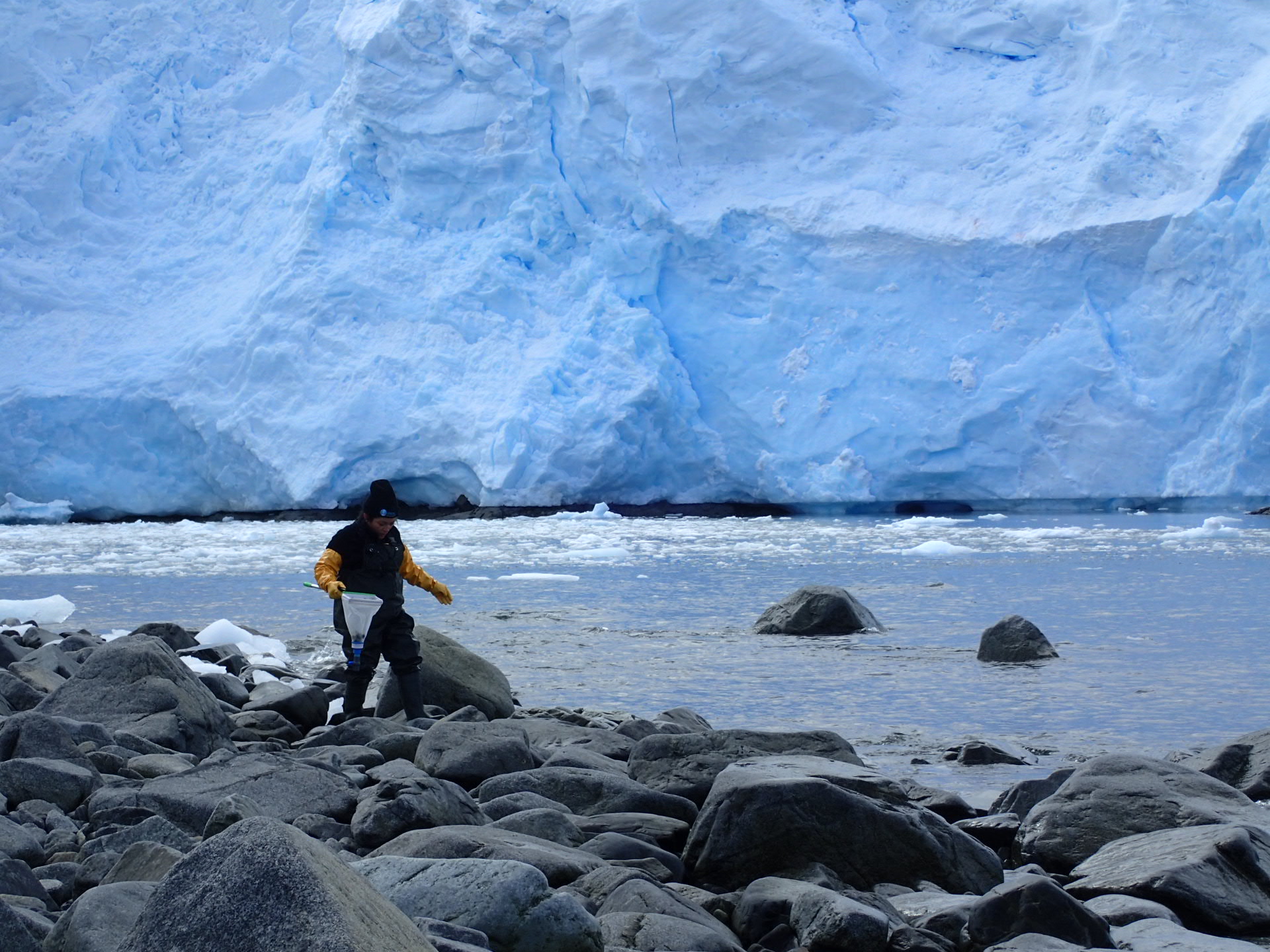 En junio: continúa ciclo de charlas «Antártica Bajo Cero»