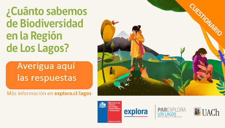 ¡Averigua aquí las respuestas en el cuestionario sobre Biodiversidad en la Región de Los Lagos!