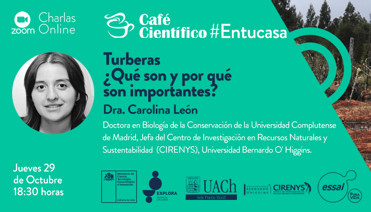 Experta en Turberas abordará los desafíos de su conservación en Café Científico
