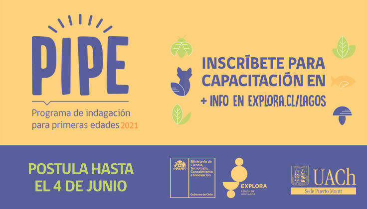 Postulaciones Abiertas PIPE 2021