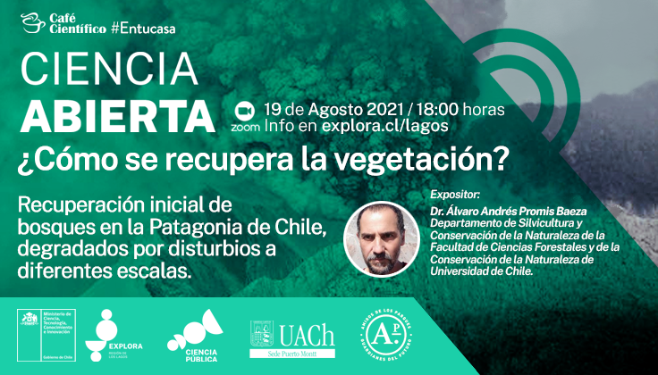 Inscríbete en el Café Científico ¿Cómo se recupera la vegetación?, recuperación inicial de bosques en la Patagonia de Chile, degradados por disturbios a diferentes escalas