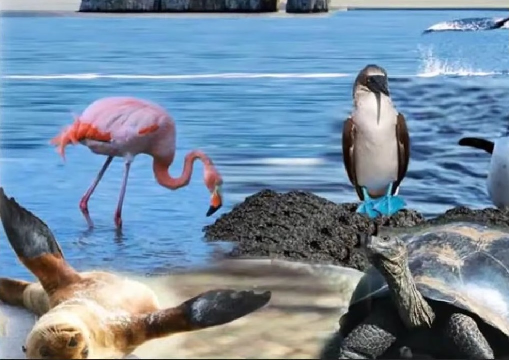 Niñas exploran el ambiente marino con talleristas del Instituto de Acuicultura UACh