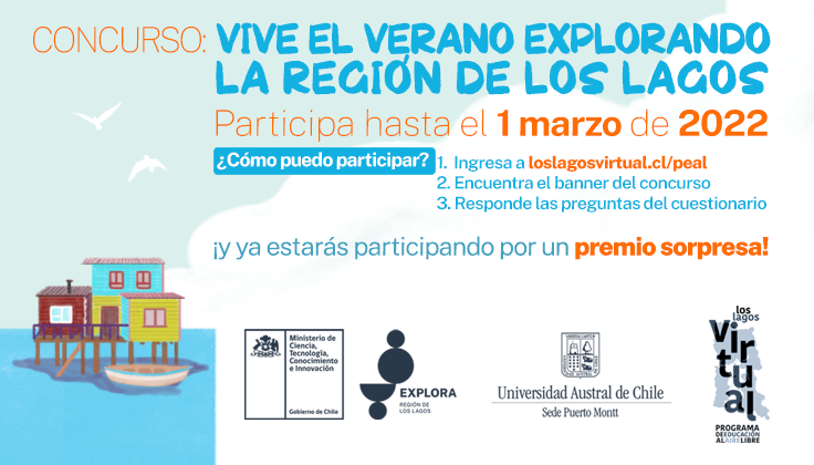 ¡Participa en el Concurso: Vive el verano explorando la Región de Los Lagos!