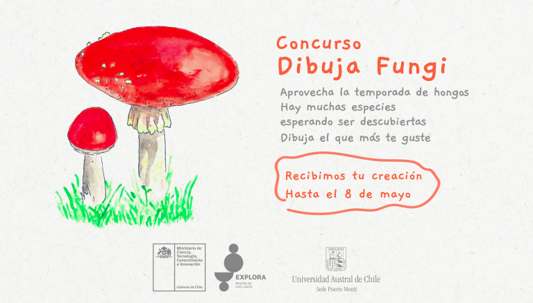 Participa en el Concurso Dibuja Fungi