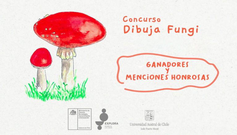 Proyecto Explora Los Lagos anuncia ganadores del Concurso Dibuja Fungi