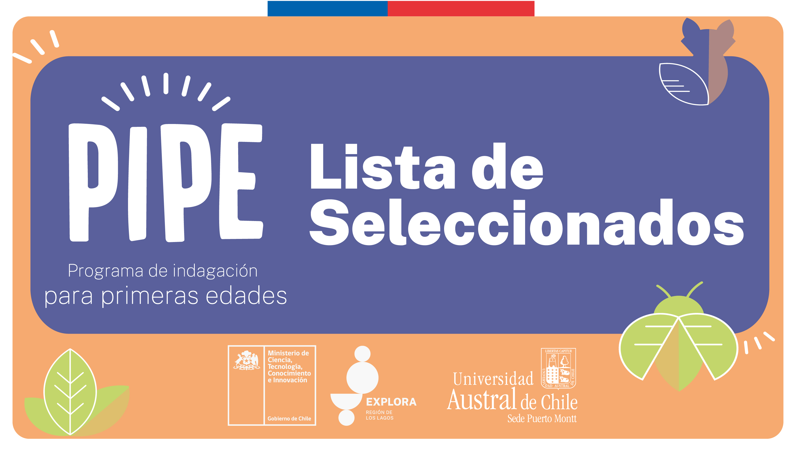 PIPE informa seleccionados para año 2023