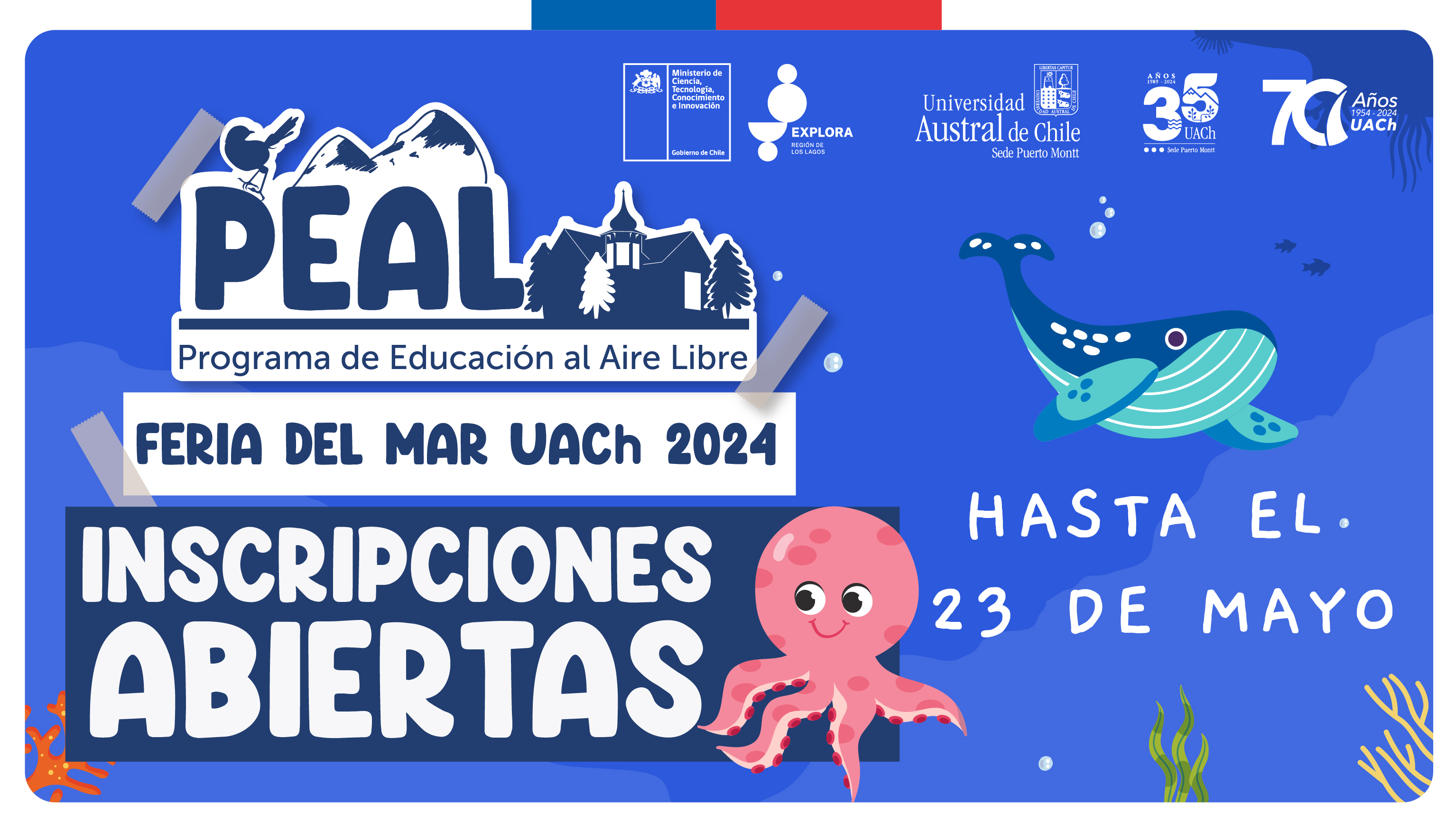 PAR Explora Los Lagos invita a establecimientos a visitar la 5ta Feria del Mar UACh