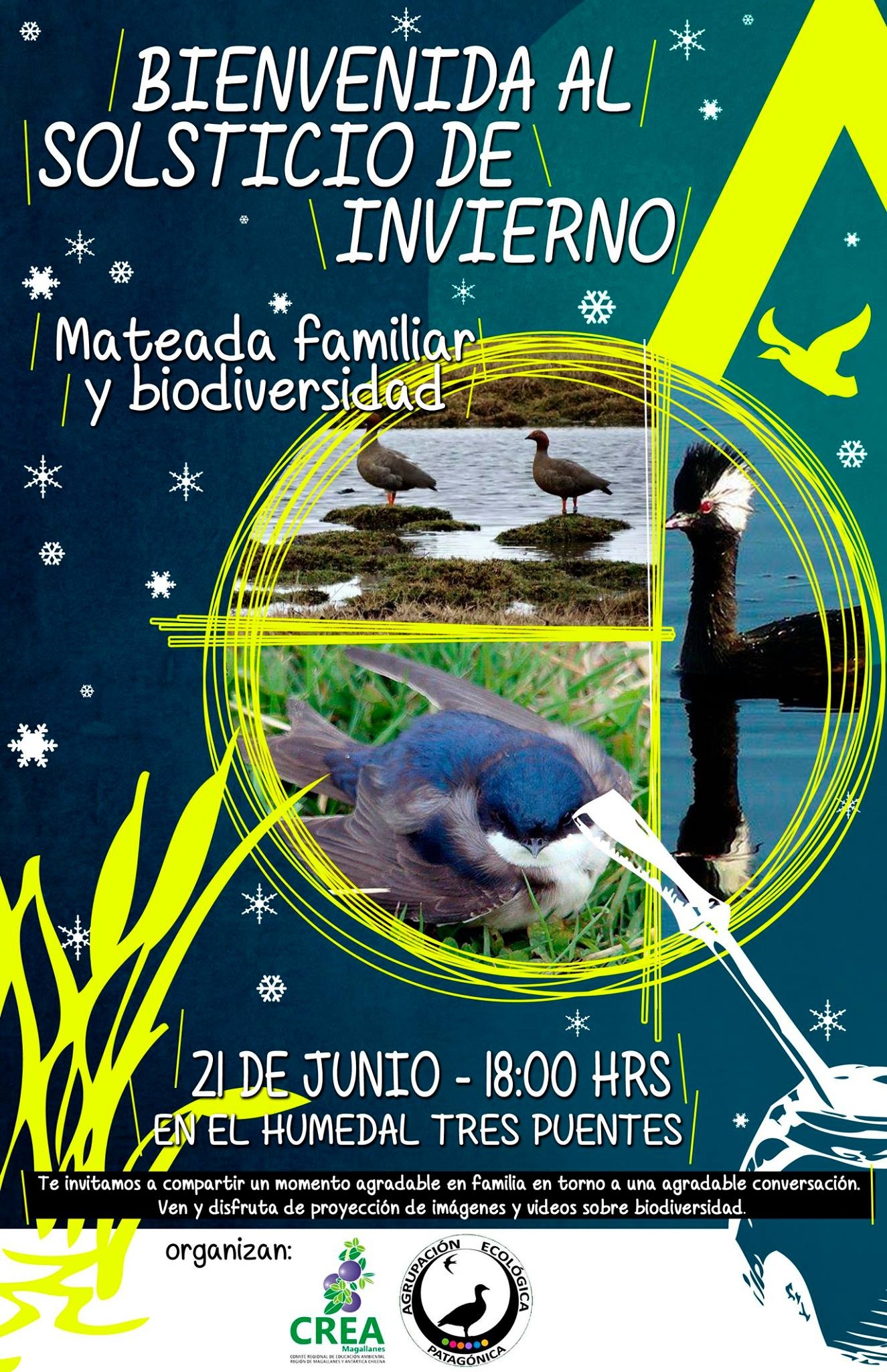 Bienvenida al solsticio de invierno: mateada familiar y biodiversidad