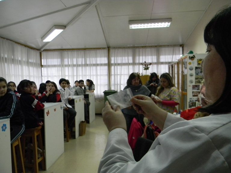 Tercera jornada del Taller Científico de la Red de Ciencias