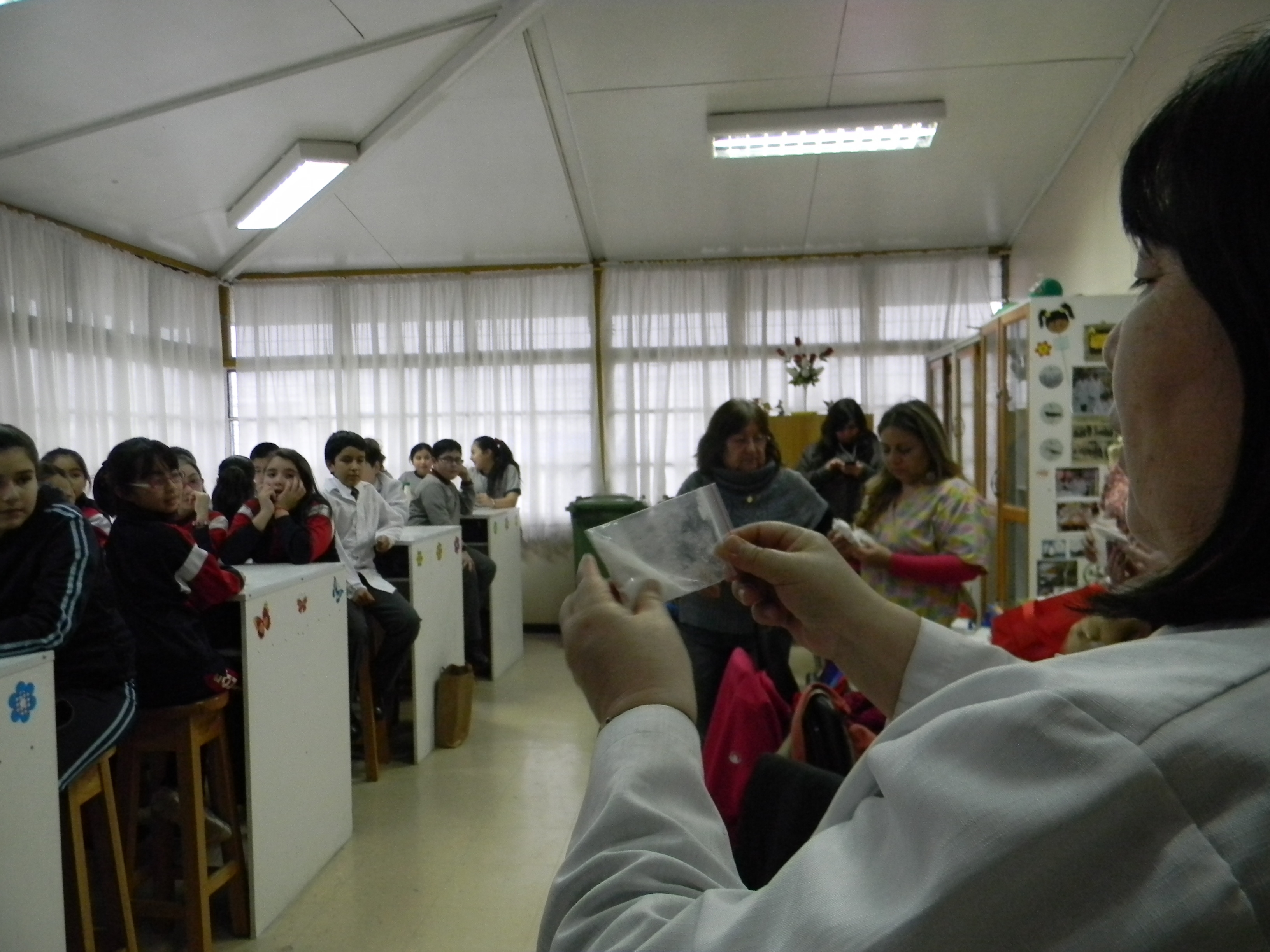 Tercera jornada del Taller Científico de la Red de Ciencias