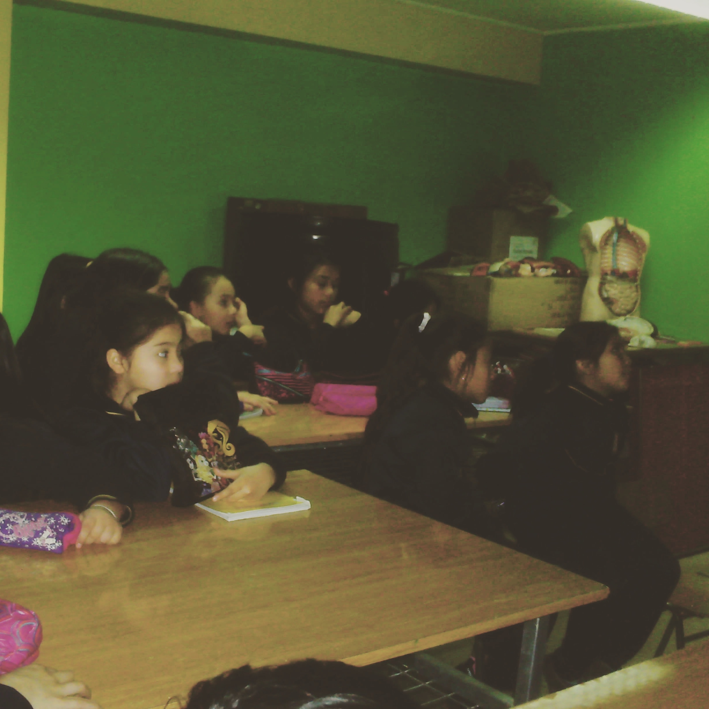 Alumnos de Esc. Arturo Prat aprenden sobre macroalgas