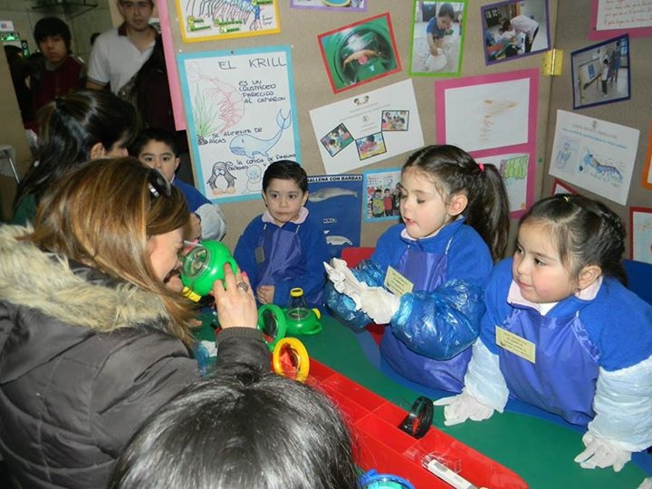 Equipos del Liceo Contardi y Colegio Luterano triunfaron en Feria Científica de Porvenir