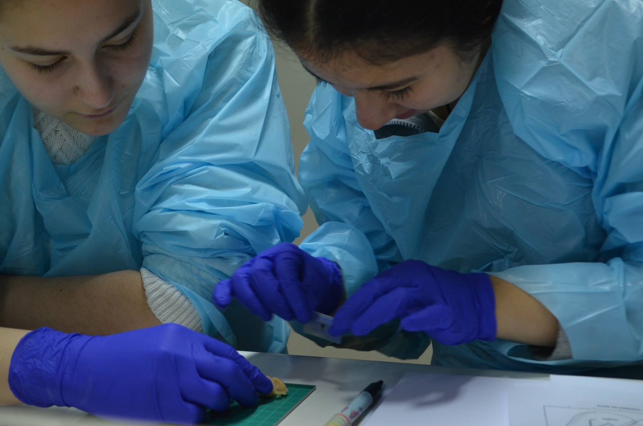 Estudiantes de Magallanes participan en talleres de Biotecnología y Biología y Fisiología del Cerebro