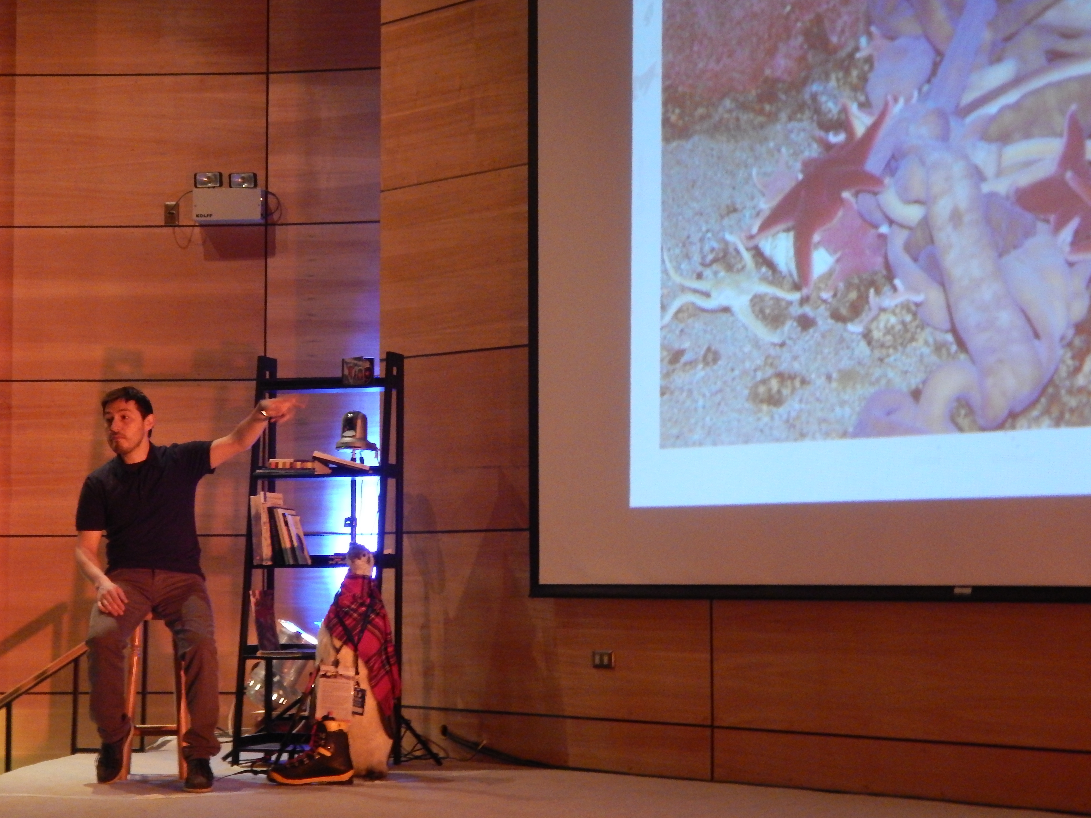 Dr. Cristian Aldea: "Las tendencias científicas han estudiado ciencia muy específica, dejando de lado lo basal"