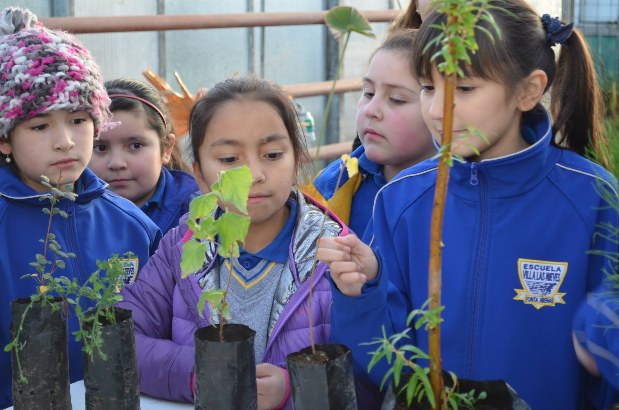 Estudiantes participan del Día de la Fascinación por las Plantas