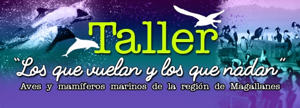 Últimos días para inscribirse en el taller “Los que vuelan y los que nadan. Aves y mamíferos marinos de la Región de Magallanes”