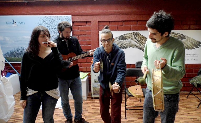 Teatro científico en Magallanes: “El viaje del playero B95”