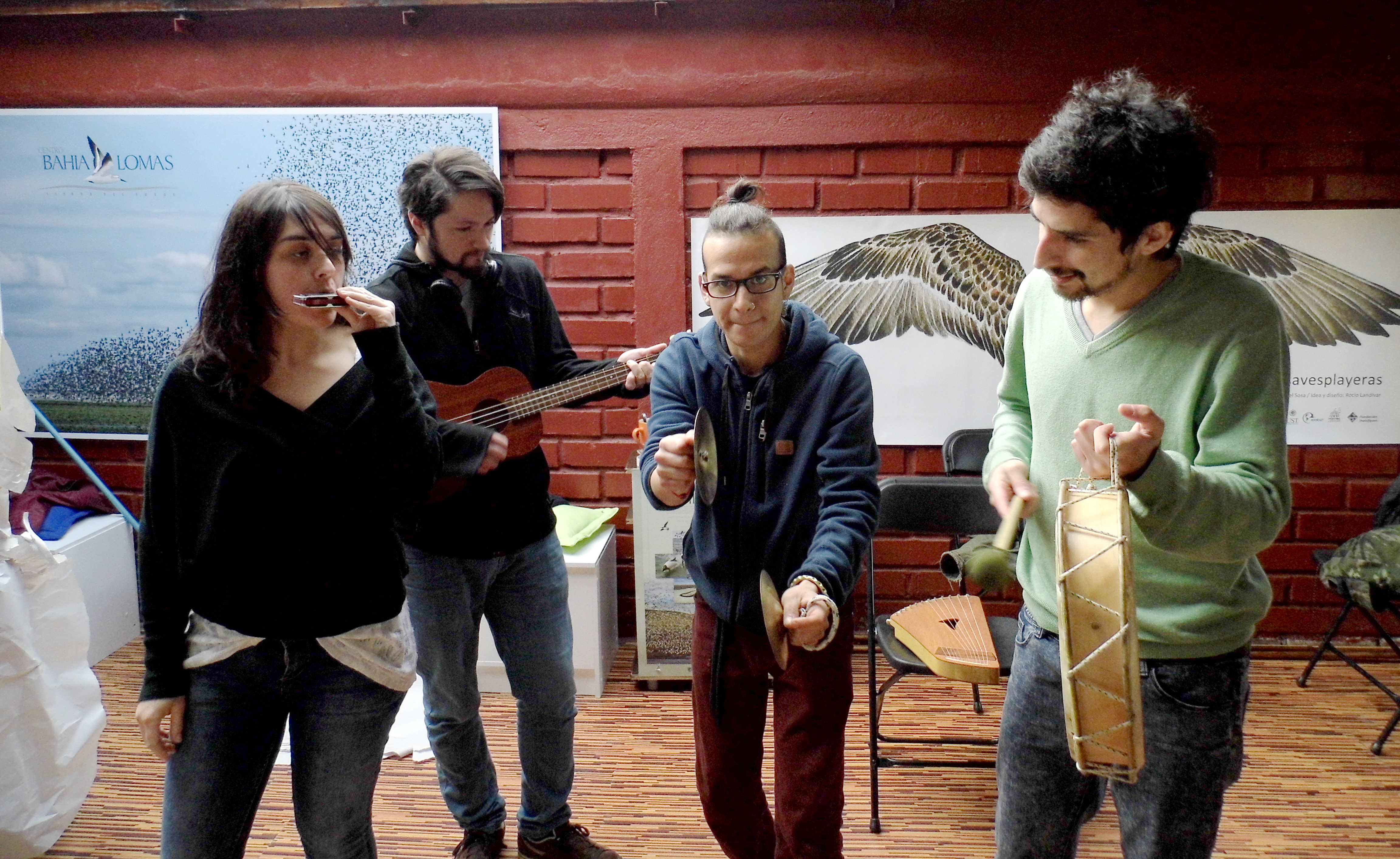 Teatro científico en Magallanes: “El viaje del playero B95”